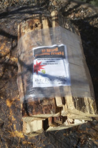 Our bundled firewood is Montana Pine, shrink wrapped with a fire starter for customer convenience.