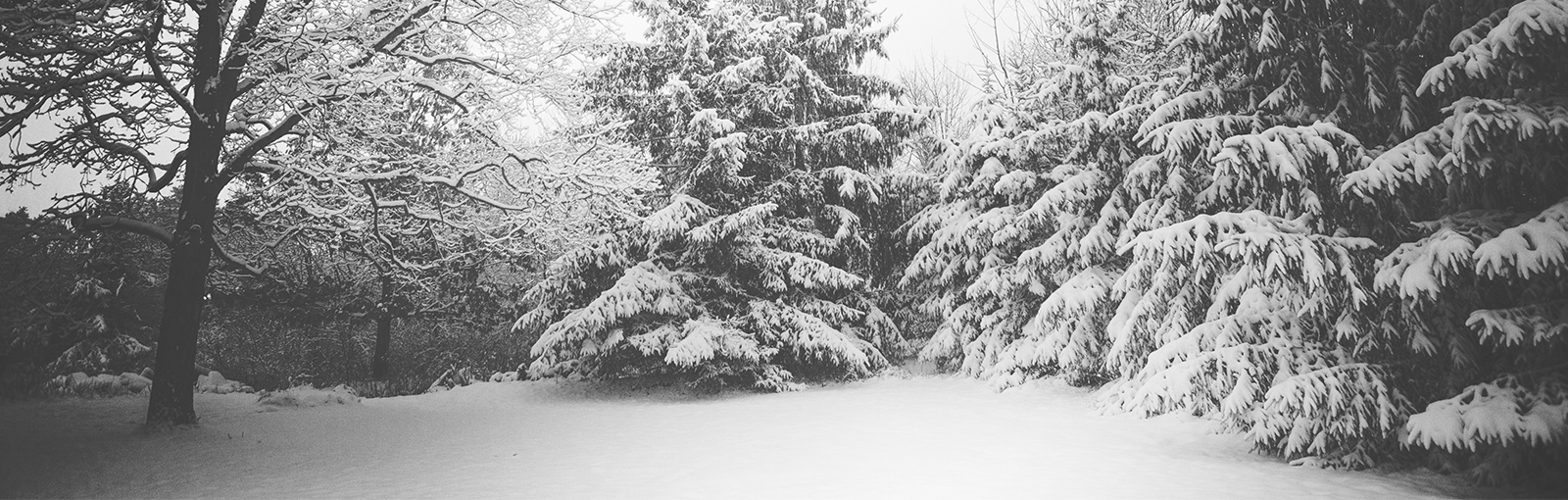 Snow Removal River Ridge Landscape Company Serving Billings, MT